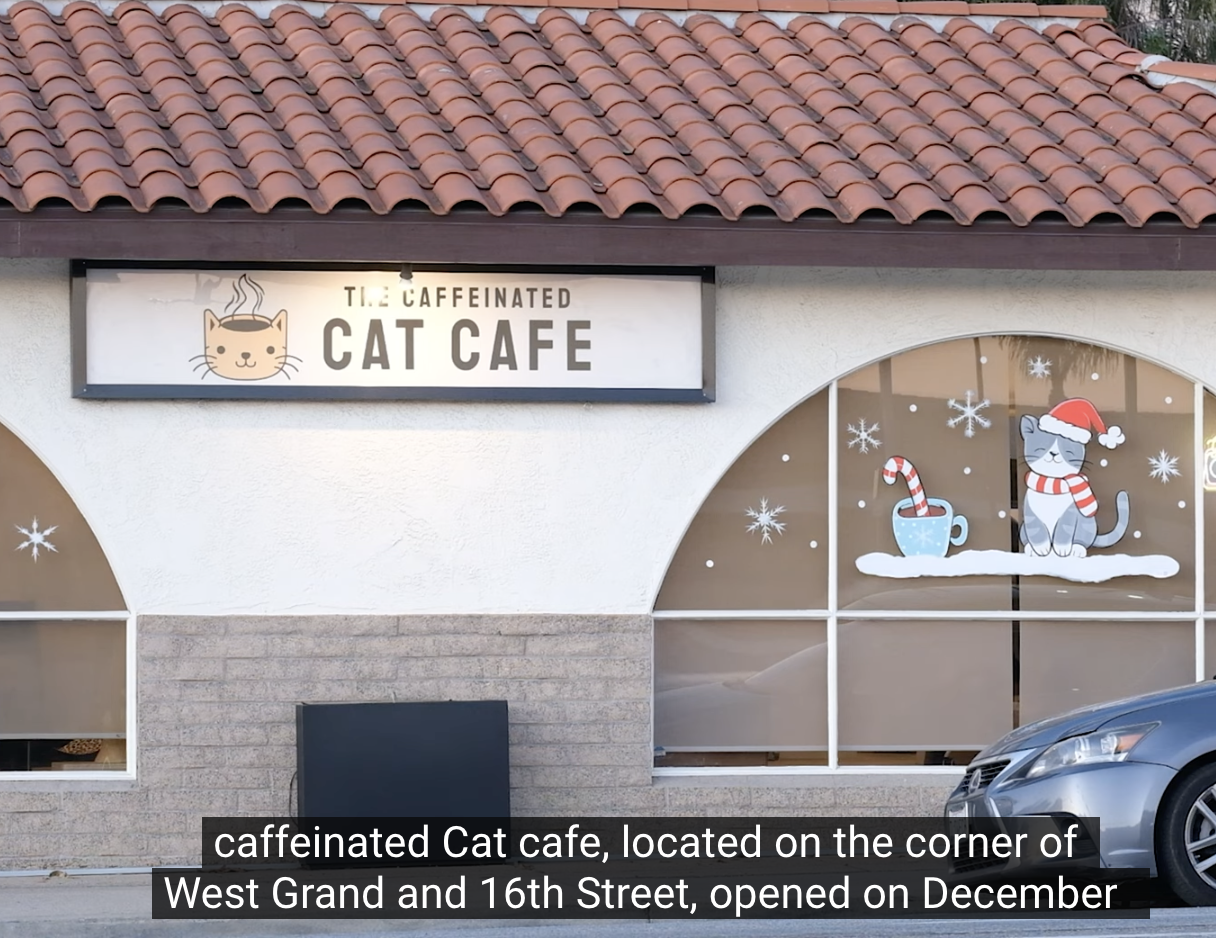 Press | The Caffeinated Cat Cafe